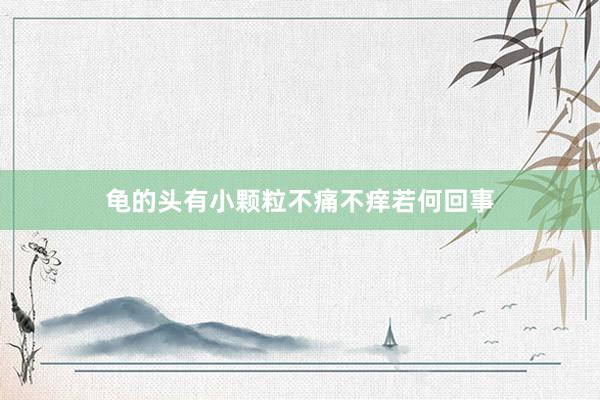 龟的头有小颗粒不痛不痒若何回事
