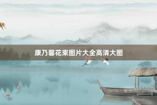 康乃馨花束图片大全高清大图